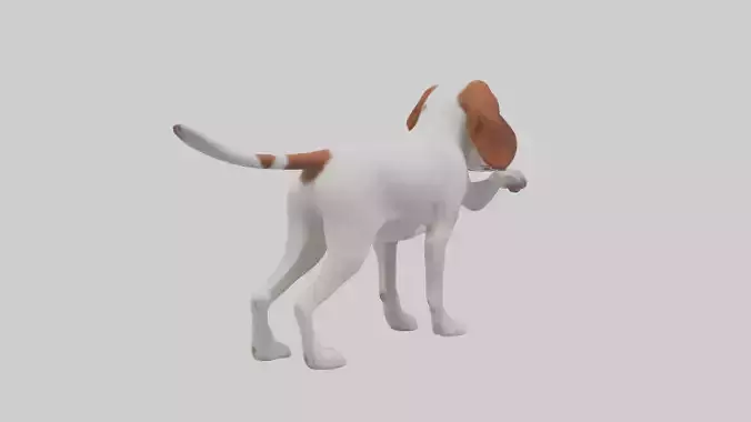 Brittany Spaniel pointing model