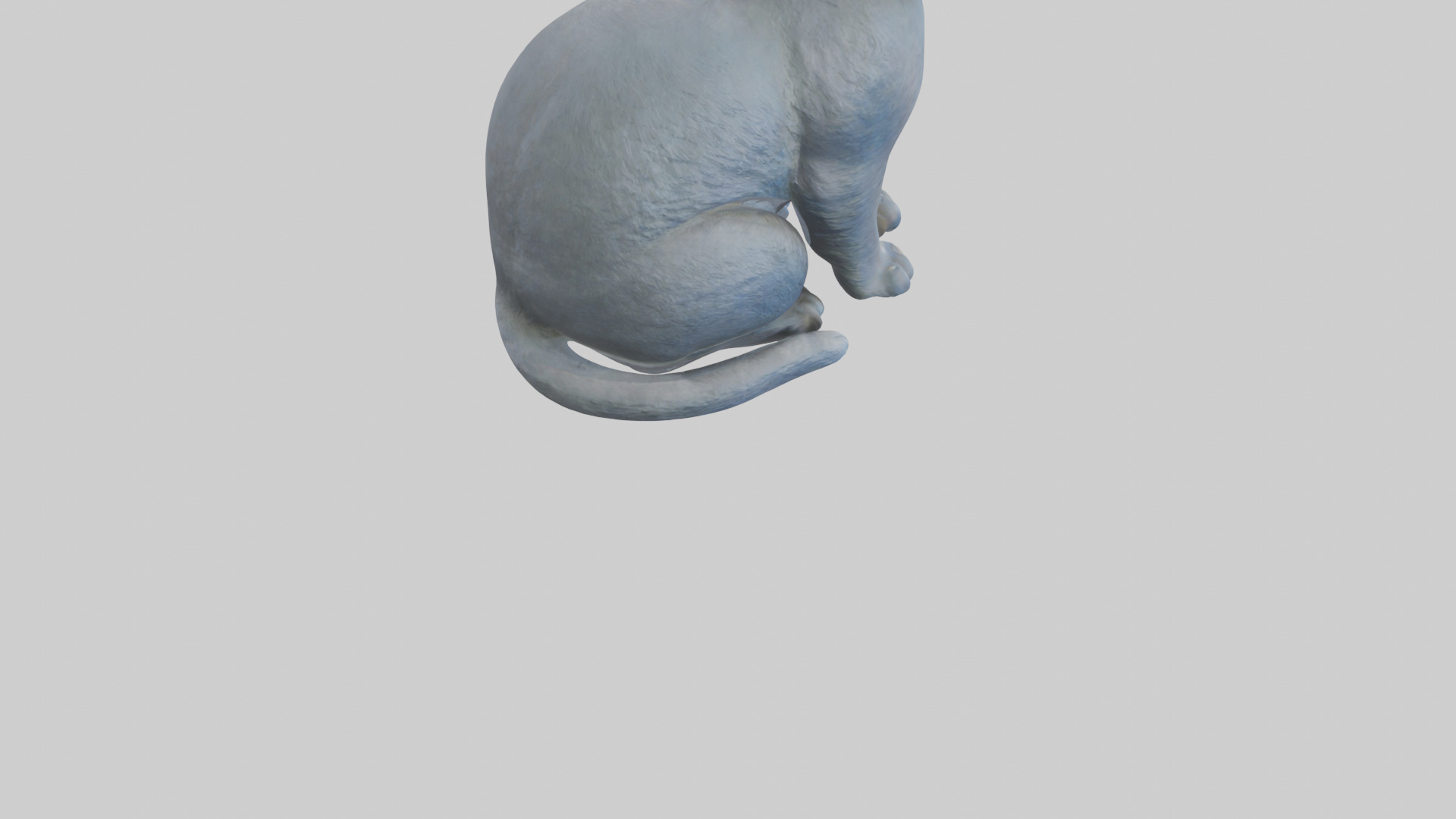 British Shorthair Cat statue model 3D model_4
