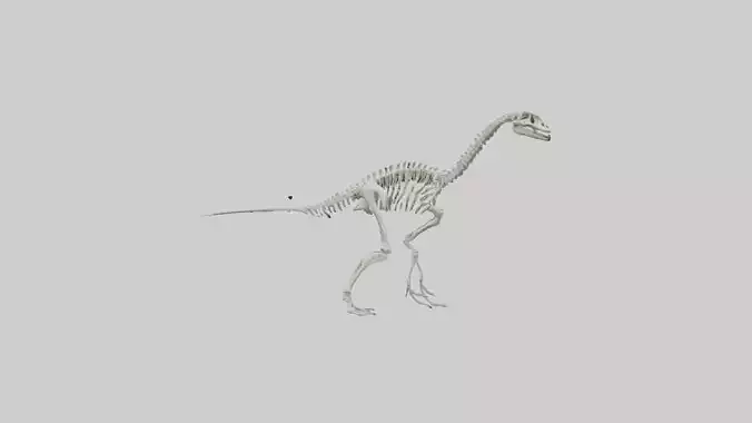 Brachiosaurus Skeleton model
