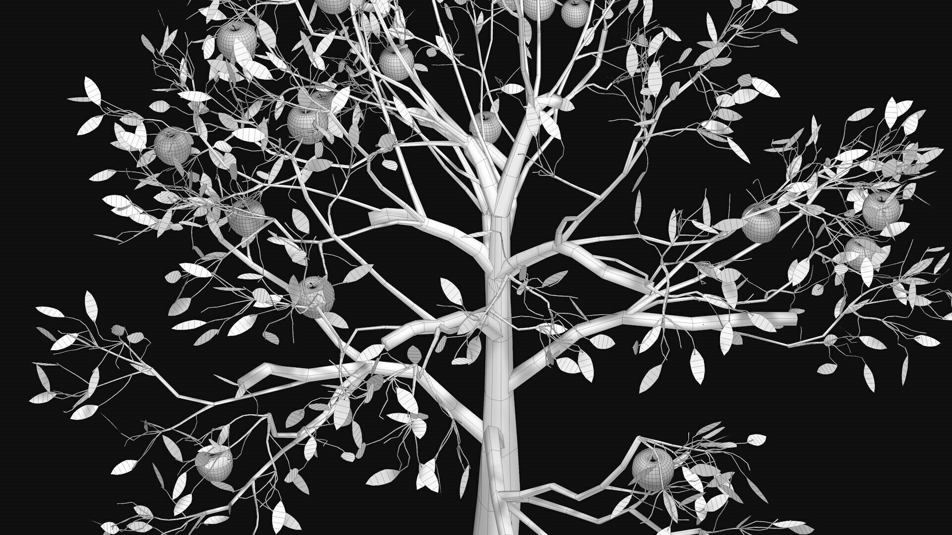 Apple tree with fruits 3D model_8