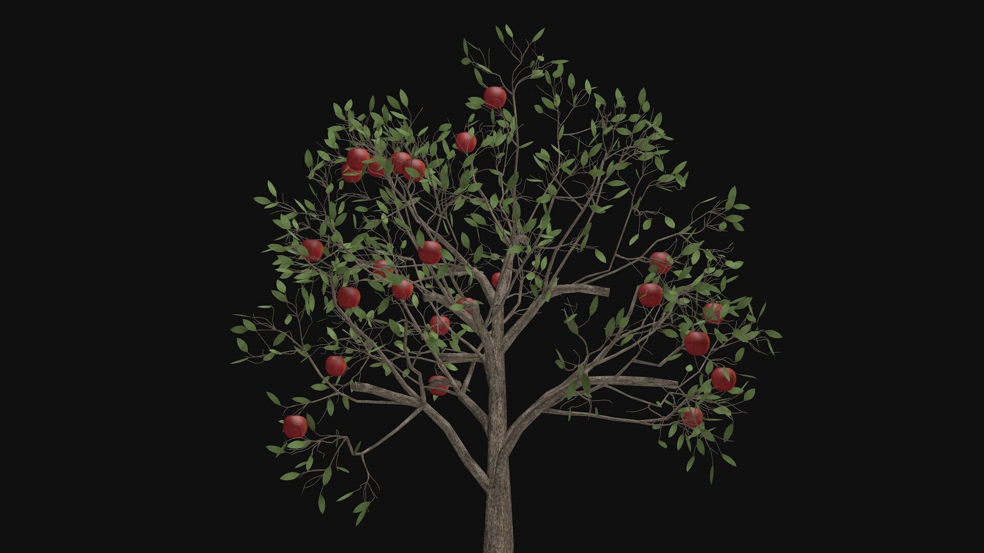 Apple tree with fruits 3D model_5