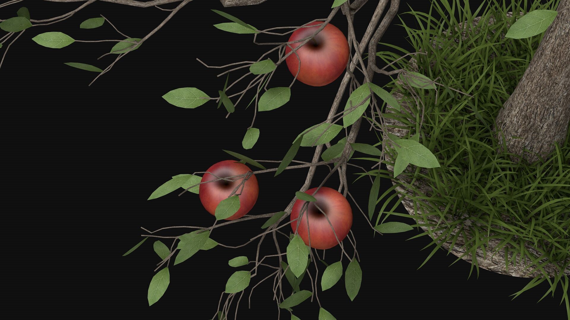 Apple tree with fruits 3D model_3