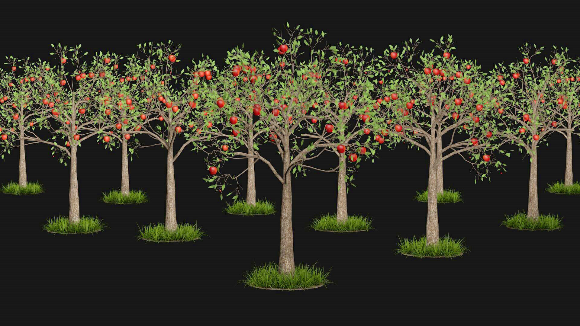 Apple tree with fruits 3D model_1