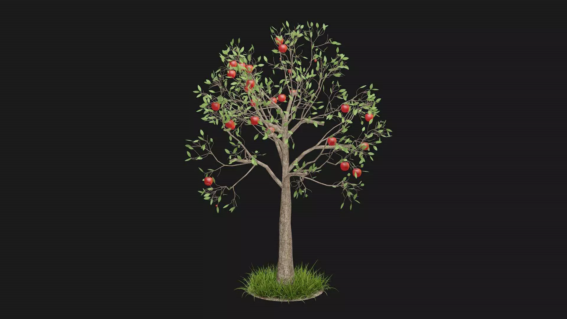 Apple tree with fruits 3D model_0