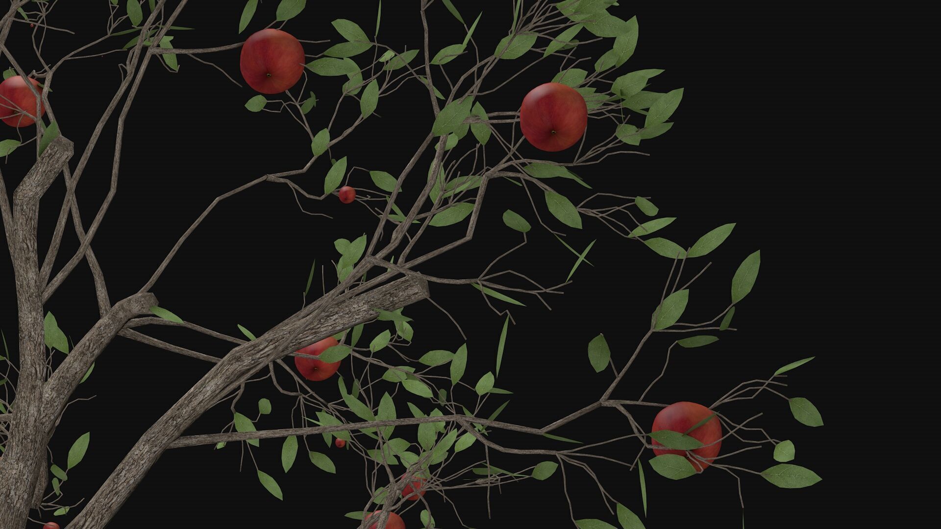 Apple tree with fruits 3D model_4