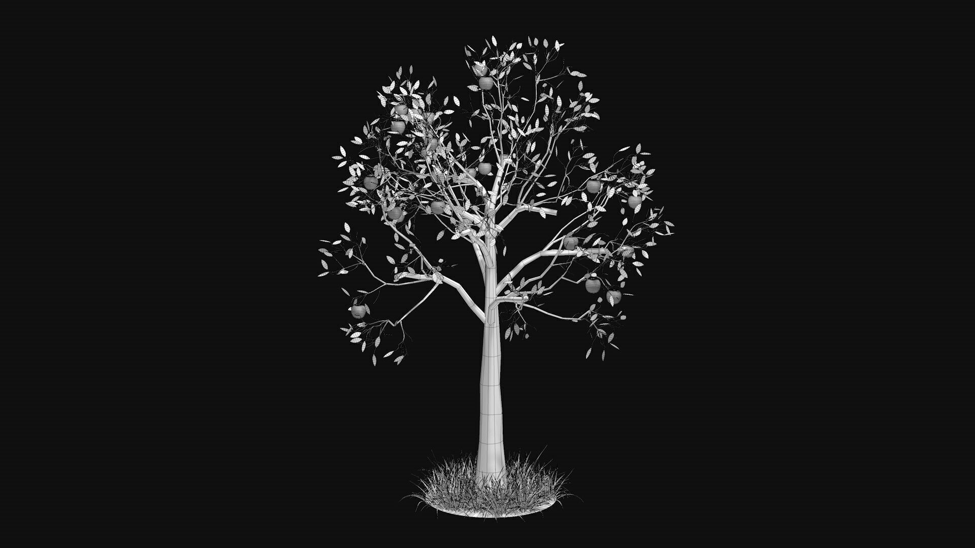 Apple tree with fruits 3D model_7