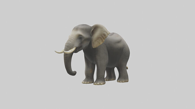 Borneo Pygmy Elephant eating model 3D model 2