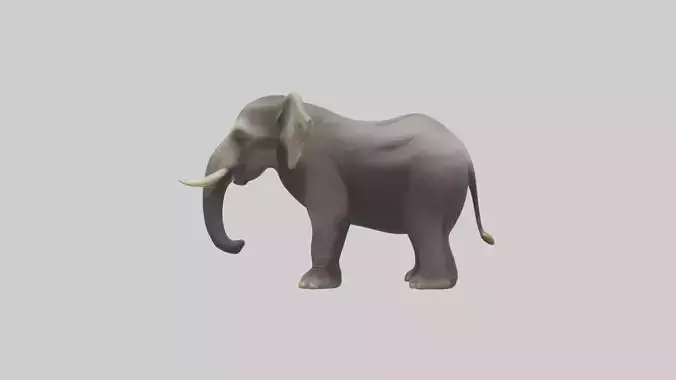 Borneo Pygmy Elephant eating model