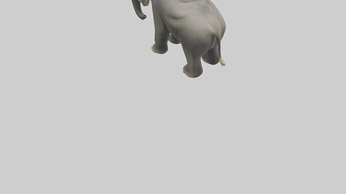 Borneo Pygmy Elephant eating model 3D model 5
