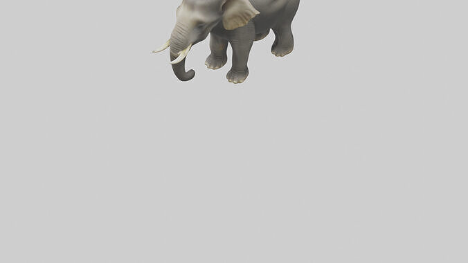 Borneo Pygmy Elephant eating model 3D model 4