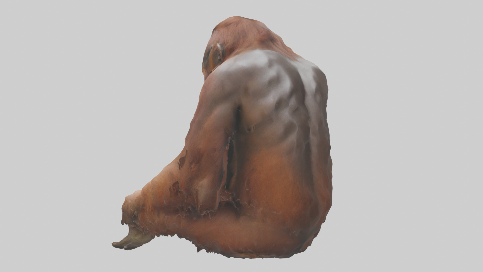 Bornean Orangutan sitting model 3D model_1