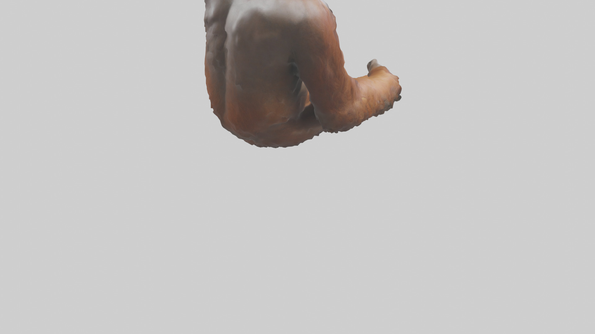 Bornean Orangutan sitting model 3D model_4