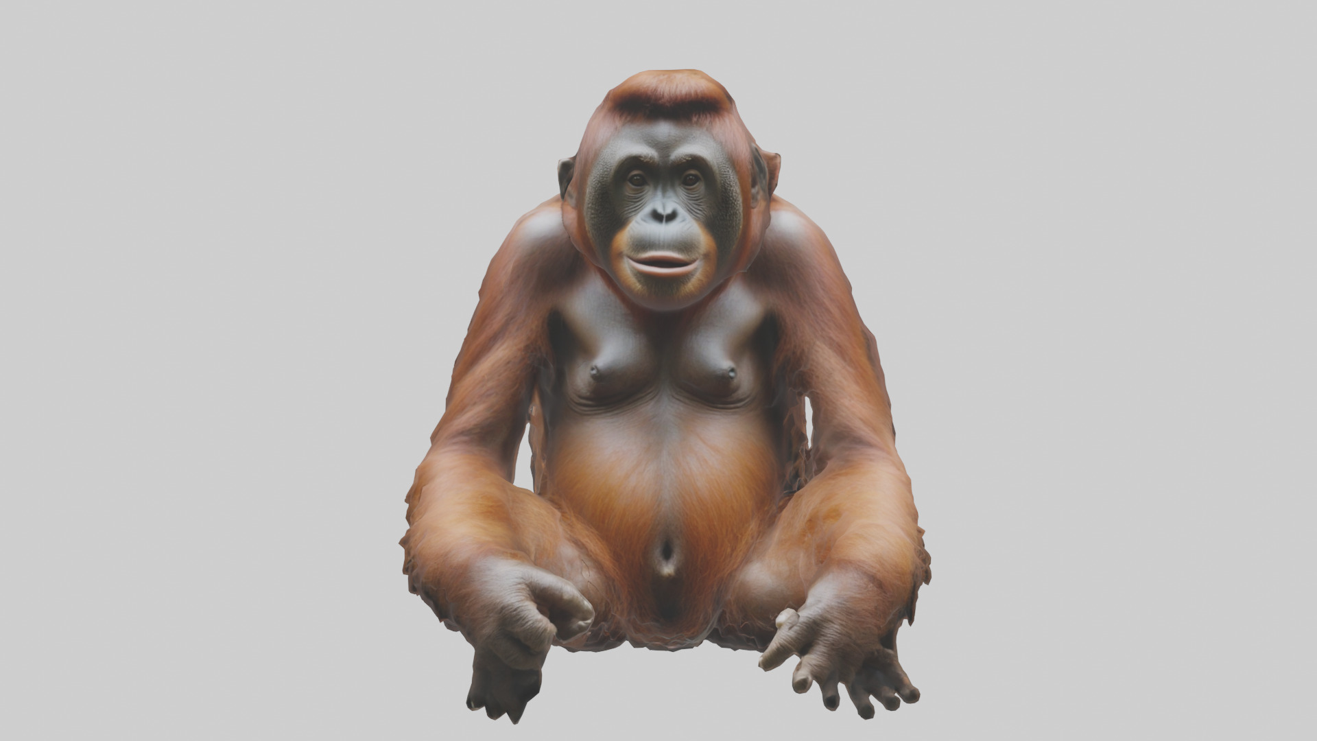 Bornean Orangutan sitting model 3D model_9