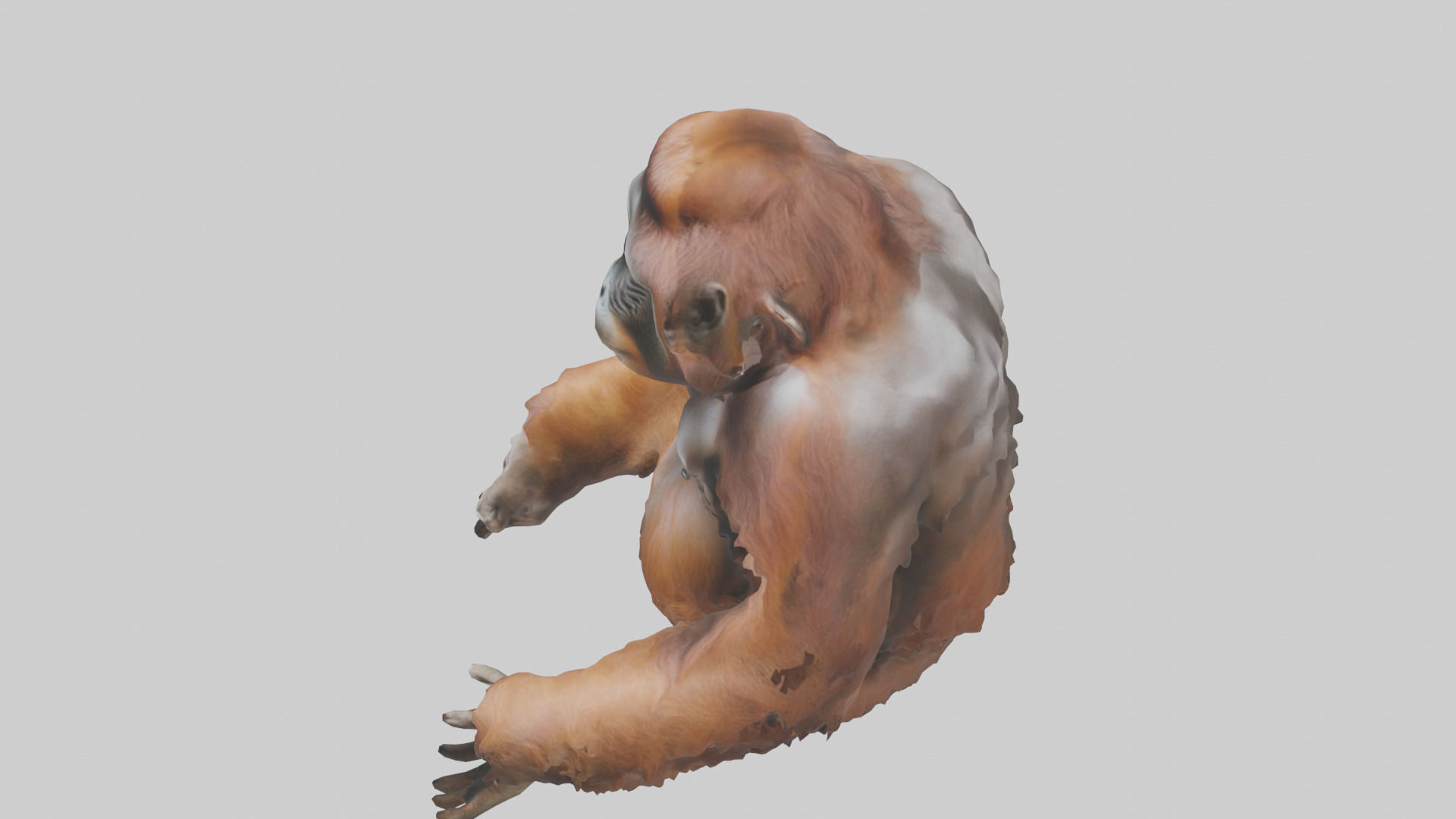Bornean Orangutan sitting model 3D model_17