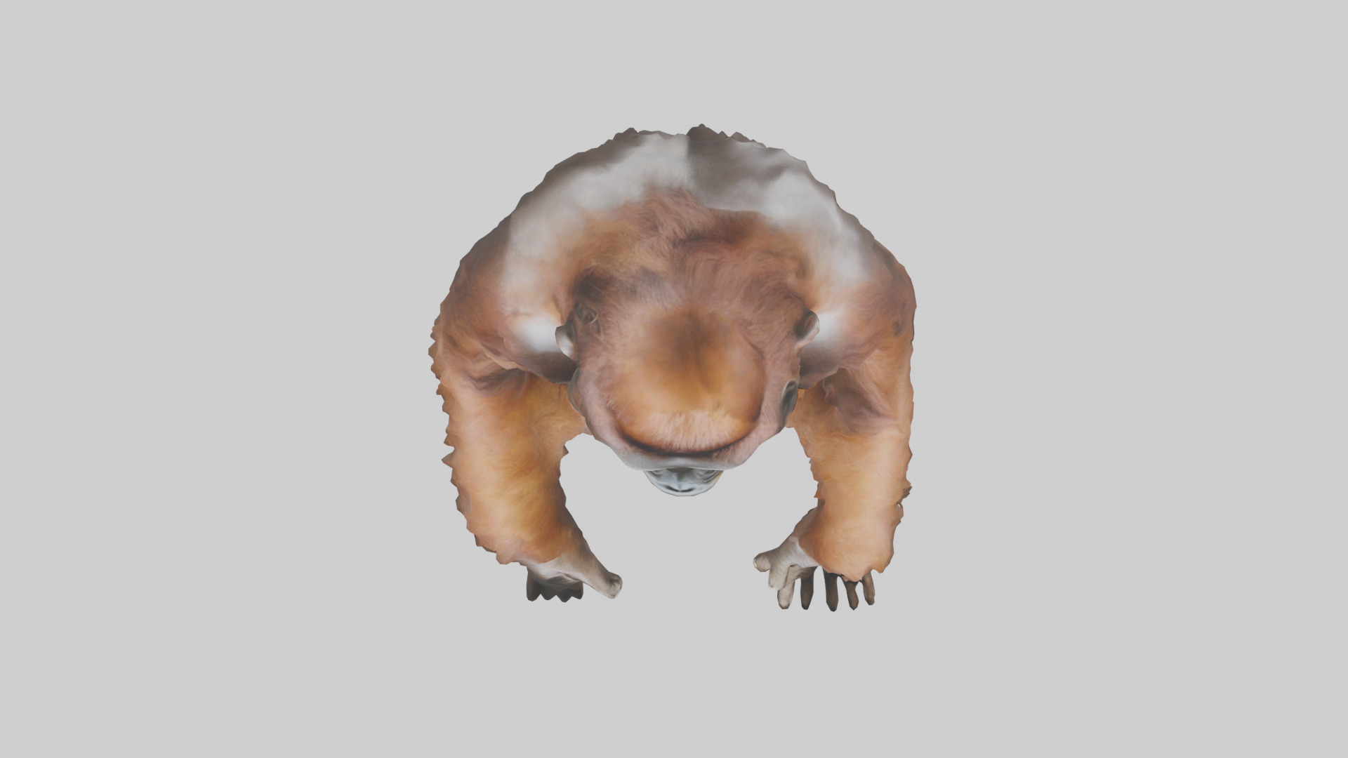 Bornean Orangutan sitting model 3D model_14