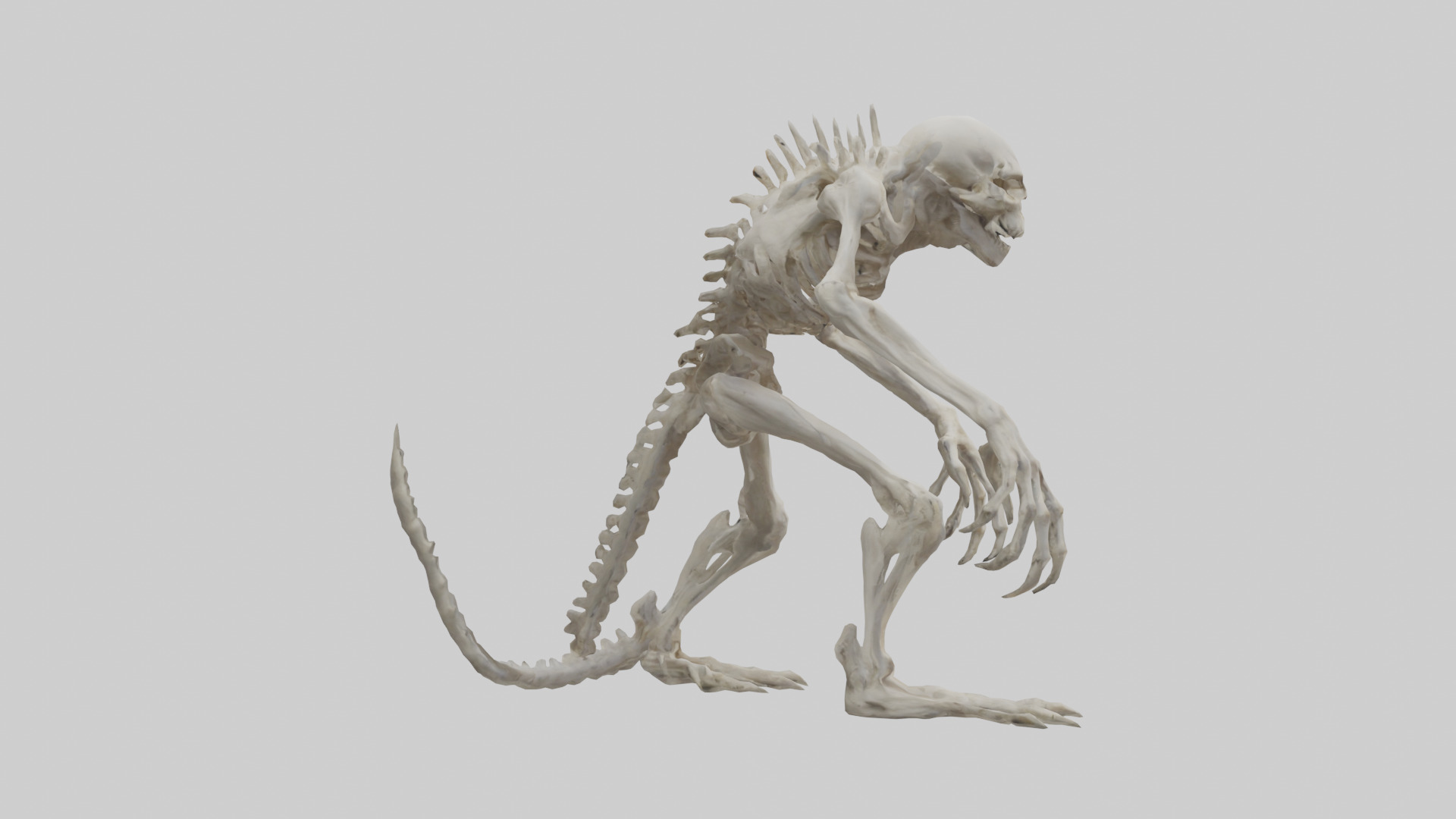 Bone creature model 3D model_13