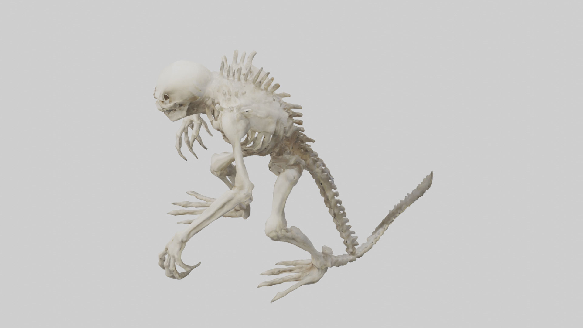 Bone creature model 3D model_17