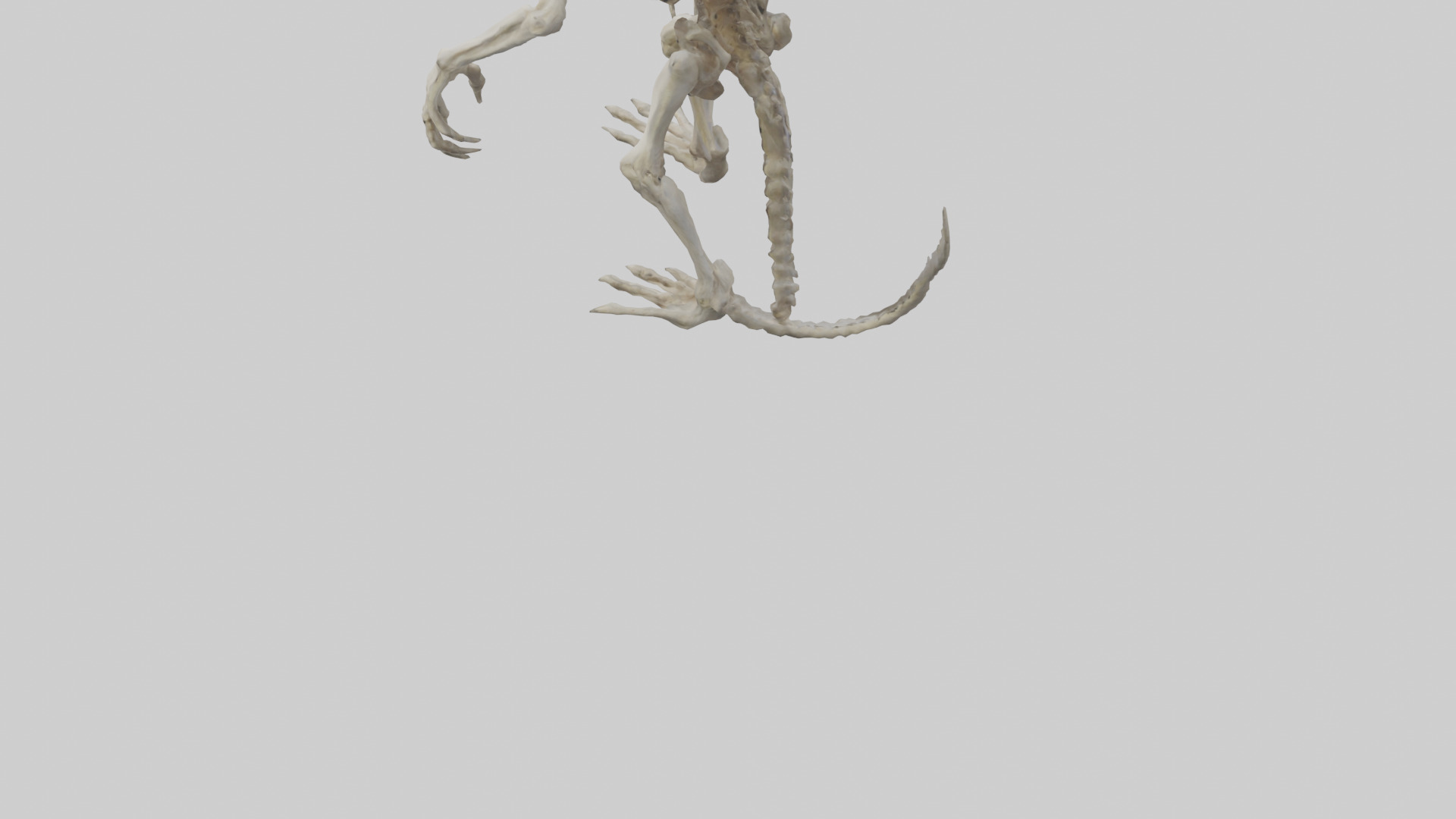 Bone creature model 3D model_3