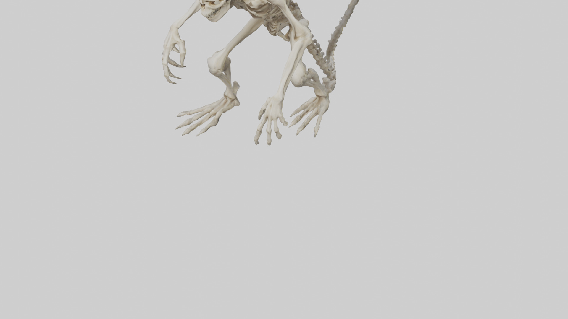 Bone creature model 3D model_5