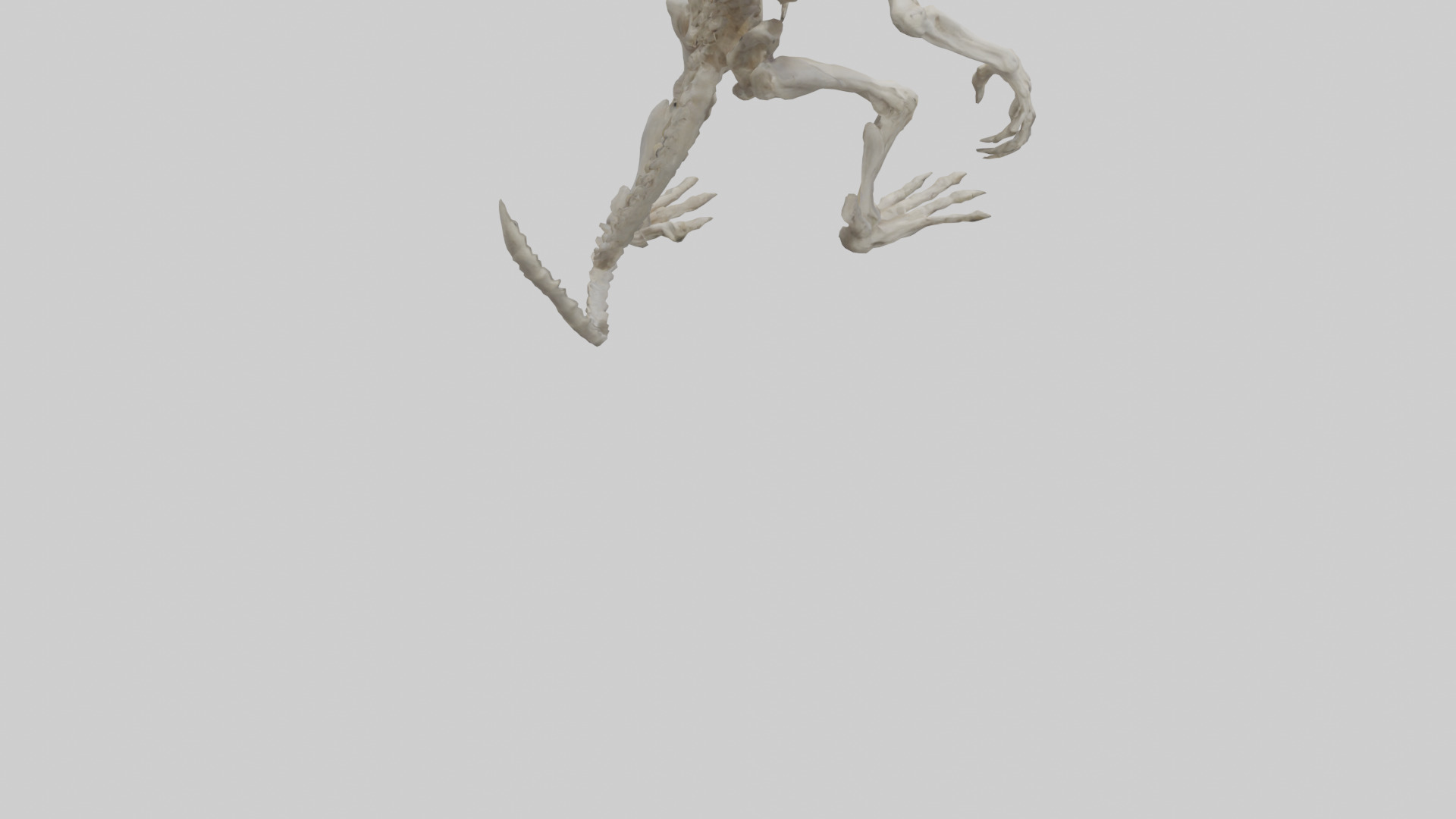 Bone creature model 3D model_4