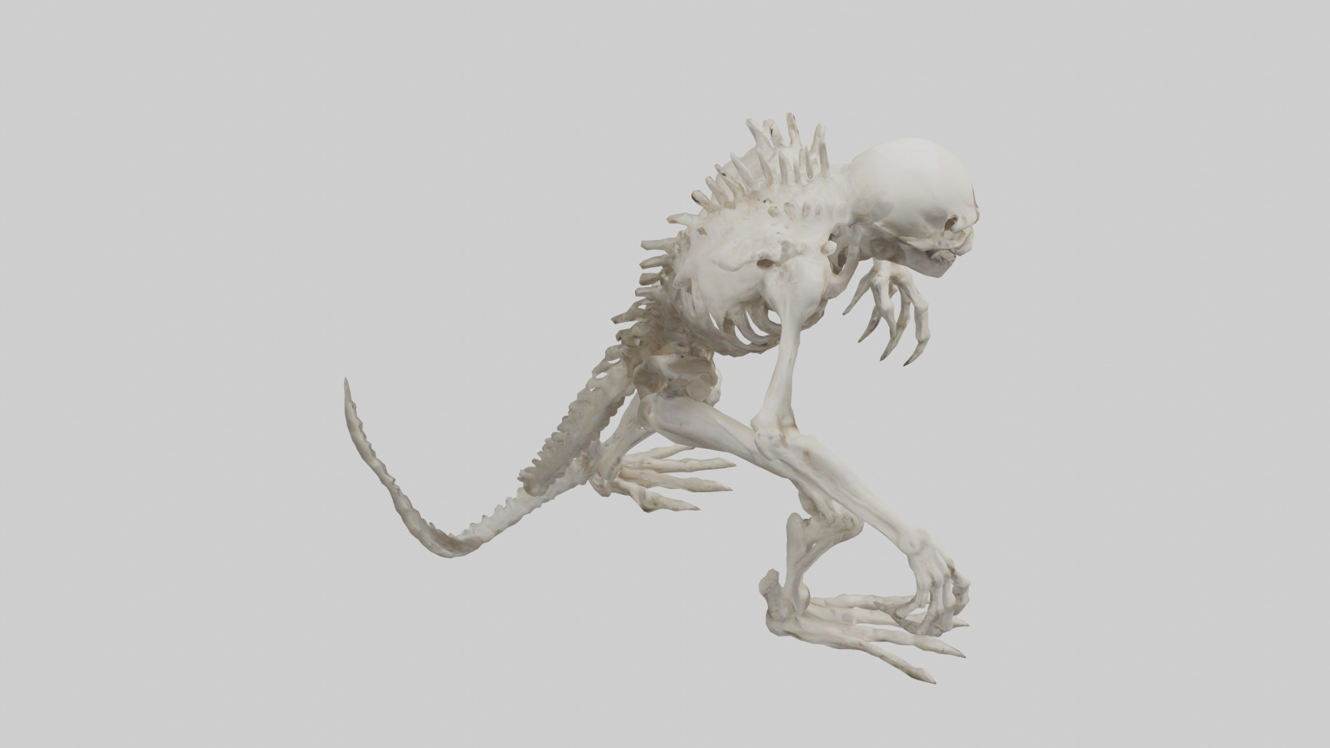 Bone creature model 3D model_18