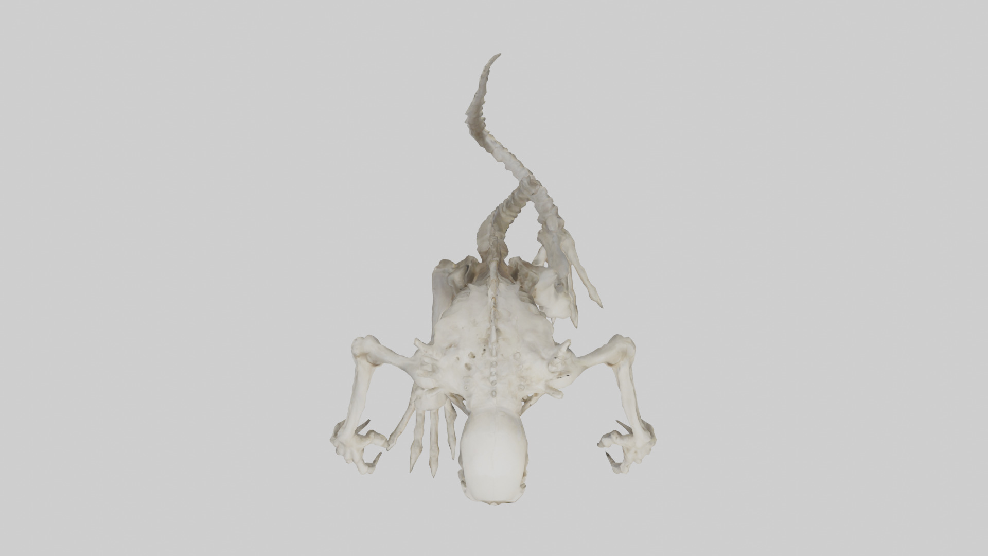 Bone creature model 3D model_14