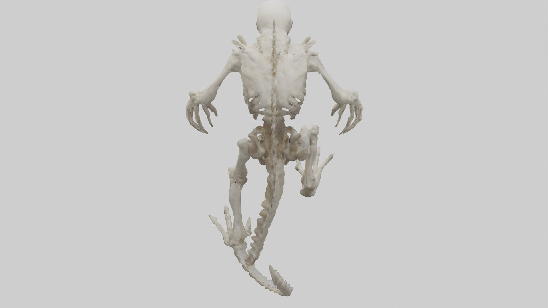 Bone creature model 3D model_15