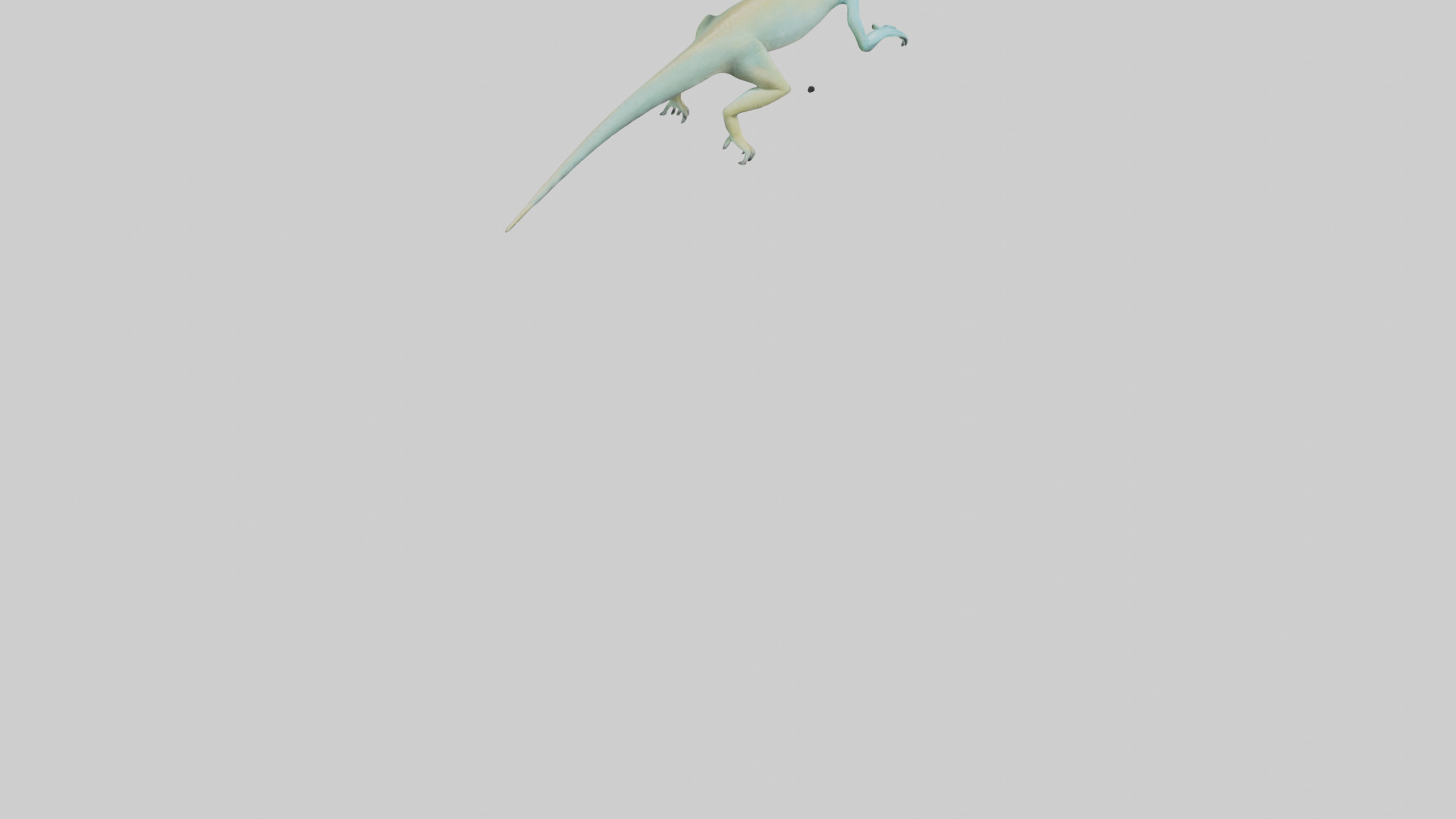 Bonaire Whiptail Lizard running model 3D model_4