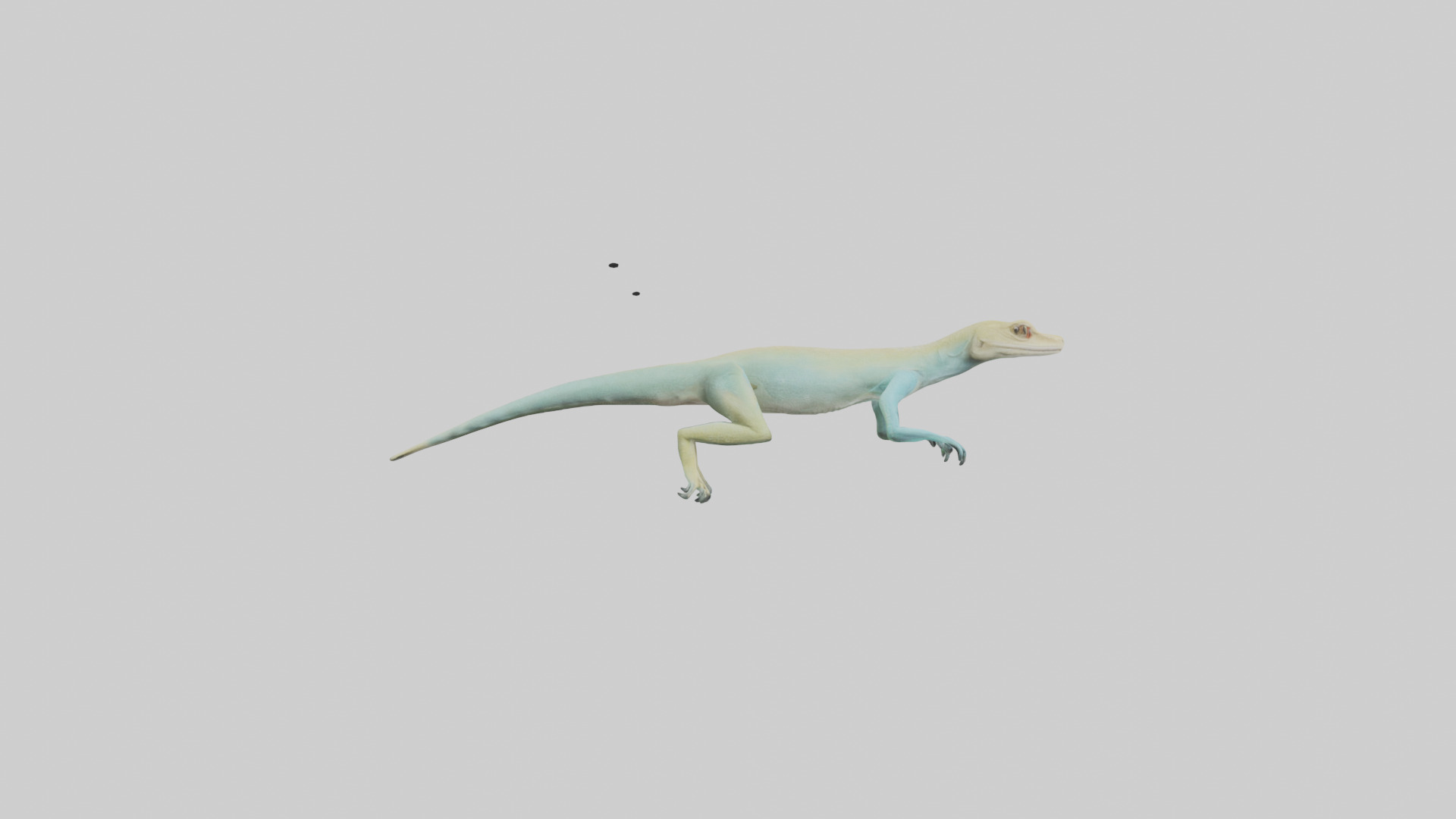 Bonaire Whiptail Lizard running model 3D model_13