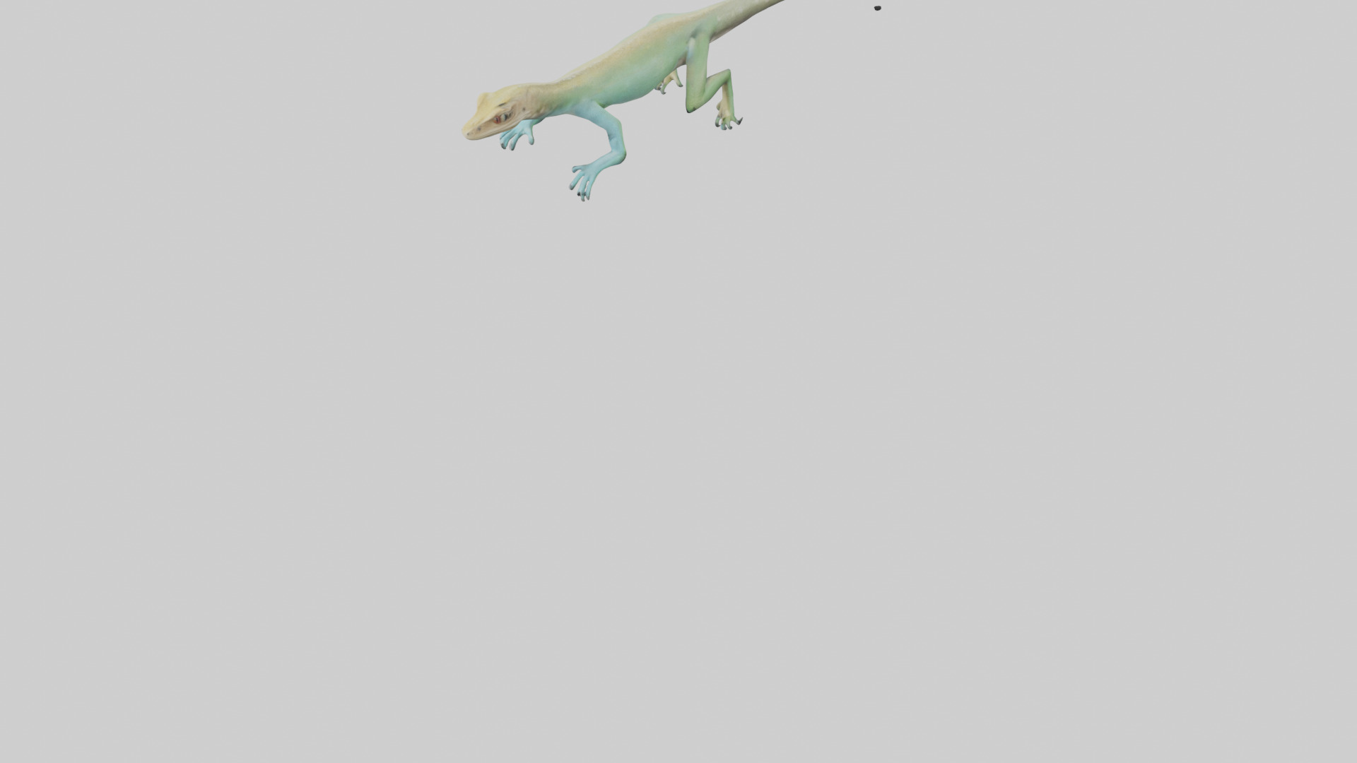 Bonaire Whiptail Lizard running model 3D model_5