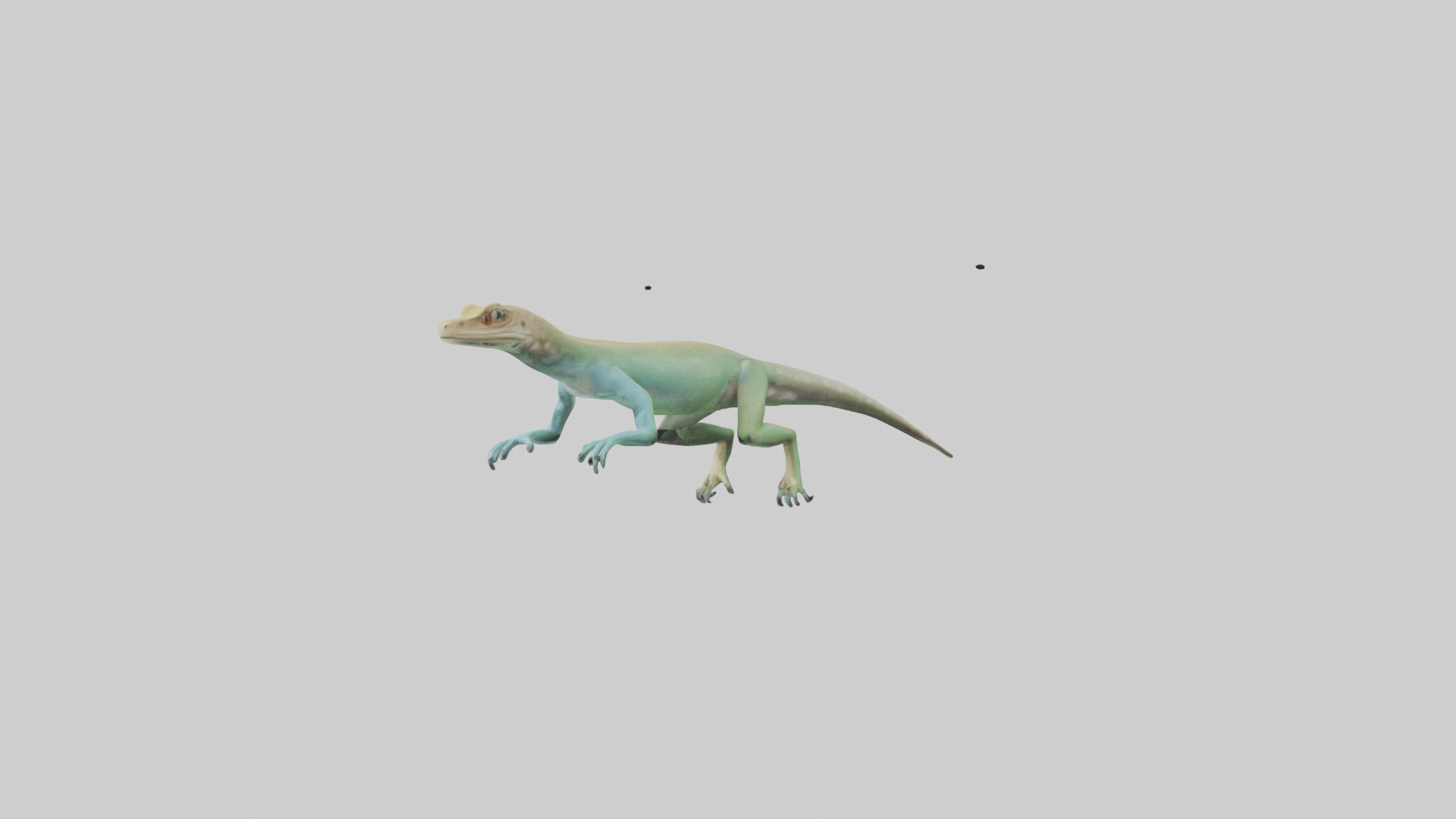 Bonaire Whiptail Lizard running model 3D model_10
