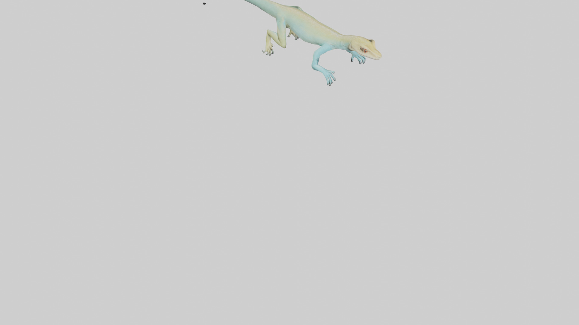 Bonaire Whiptail Lizard running model 3D model_6