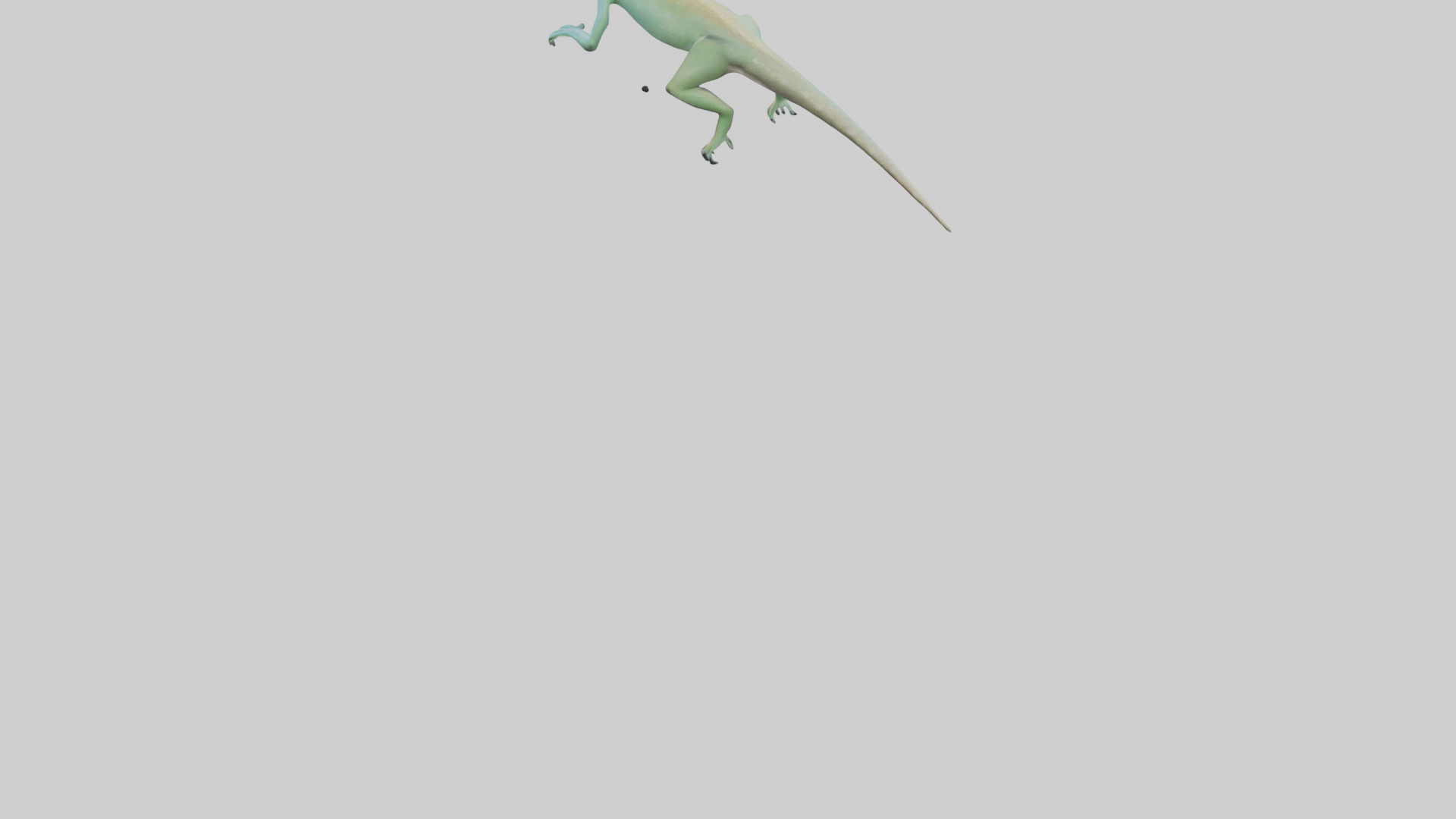 Bonaire Whiptail Lizard running model 3D model_3