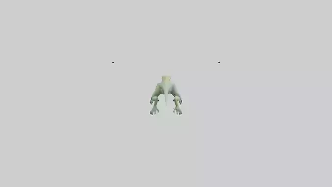Bonaire Whiptail Lizard running model 3D model