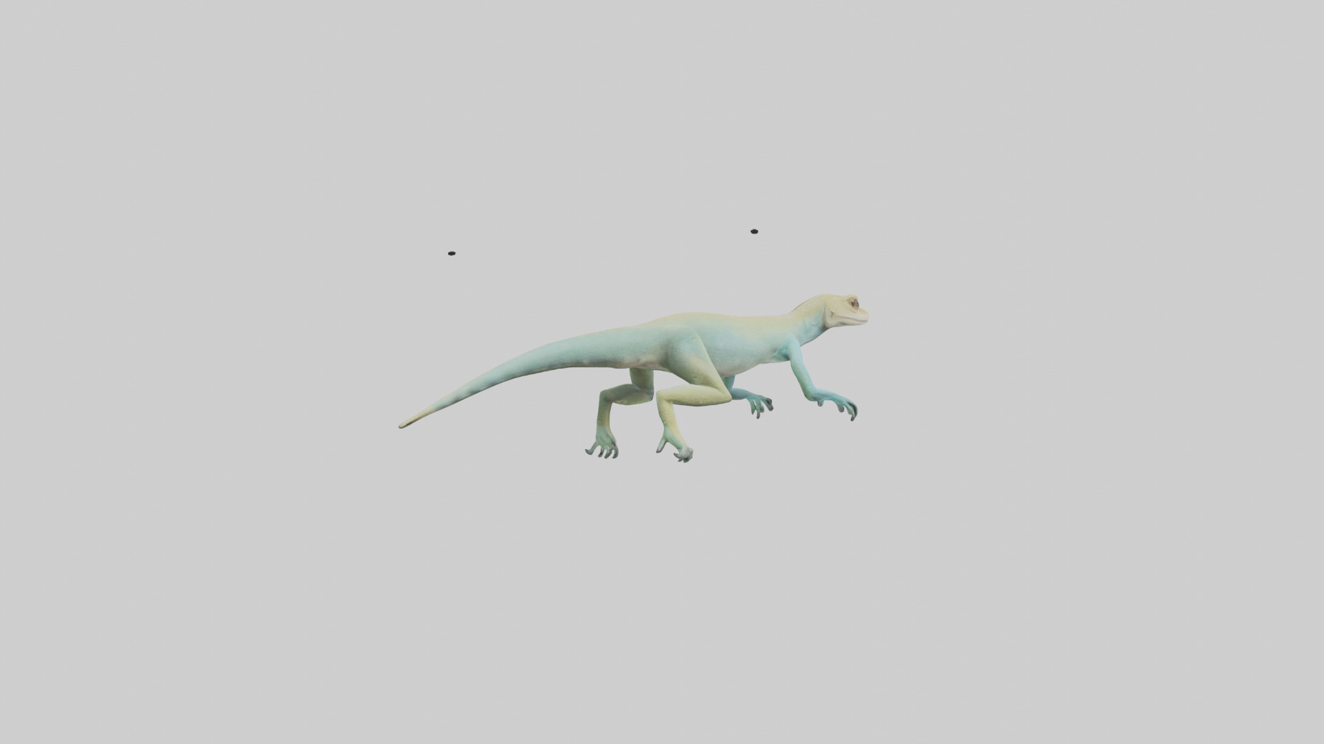 Bonaire Whiptail Lizard running model 3D model_2