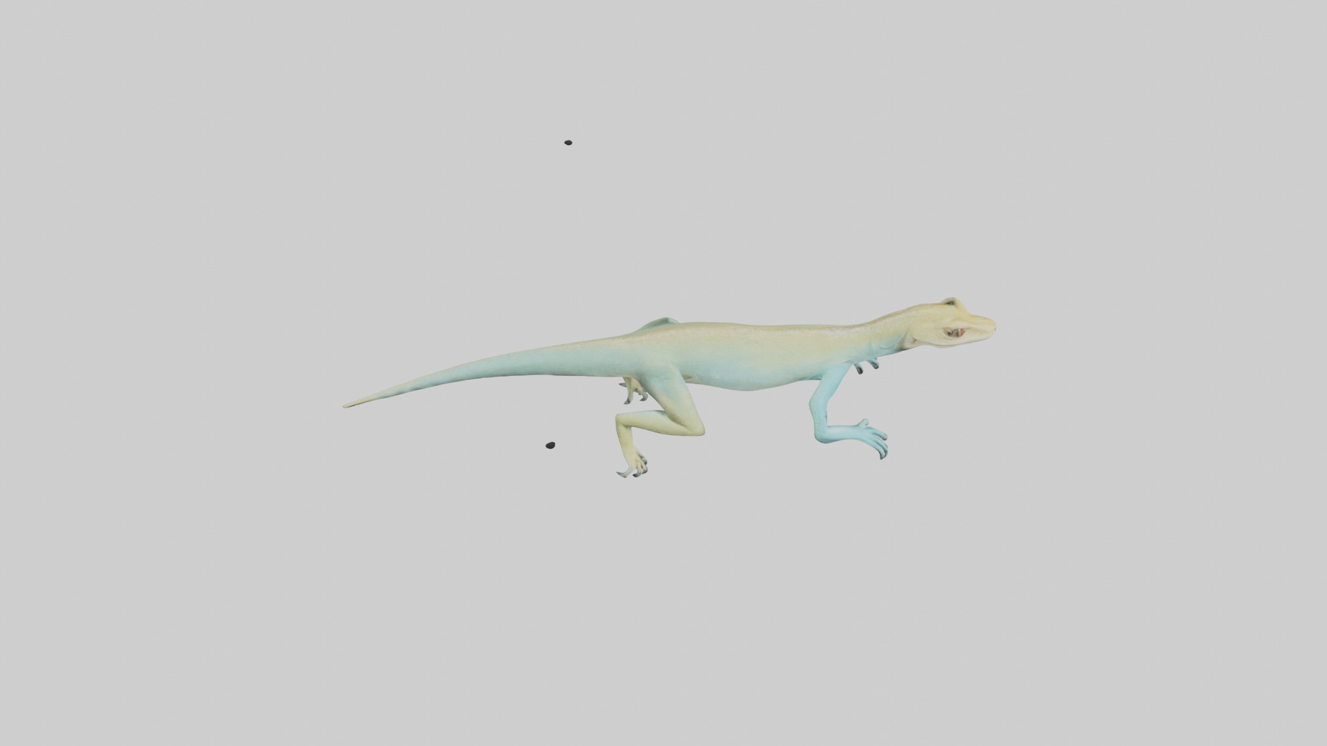 Bonaire Whiptail Lizard running model 3D model_18