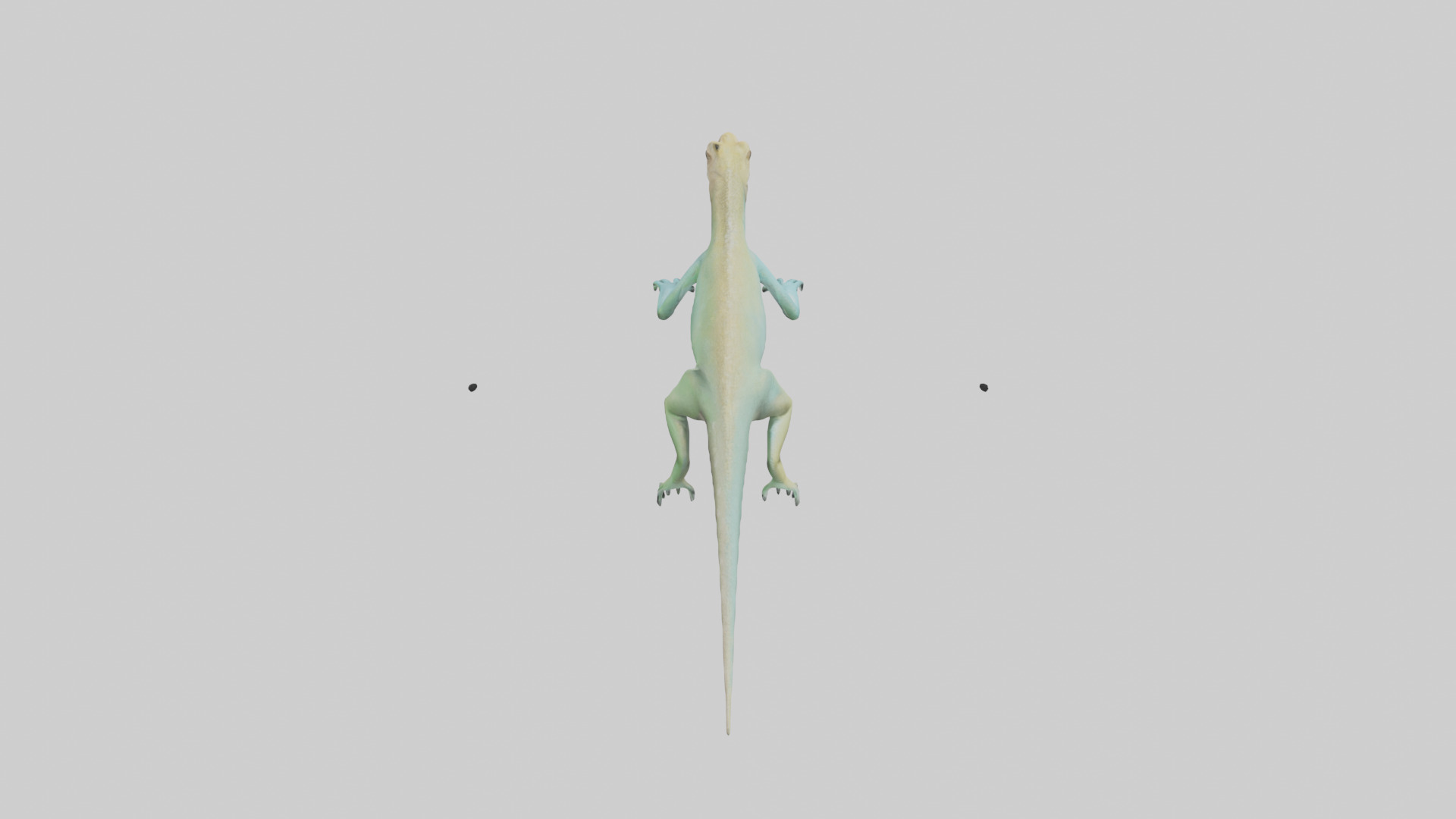 Bonaire Whiptail Lizard running model 3D model_15