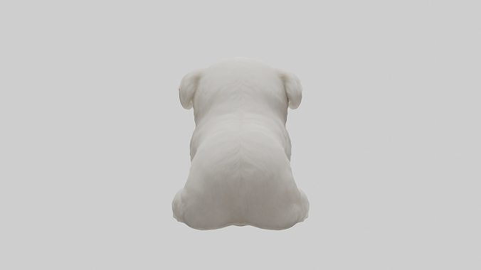 Bolognese Dog sitting model 3D model