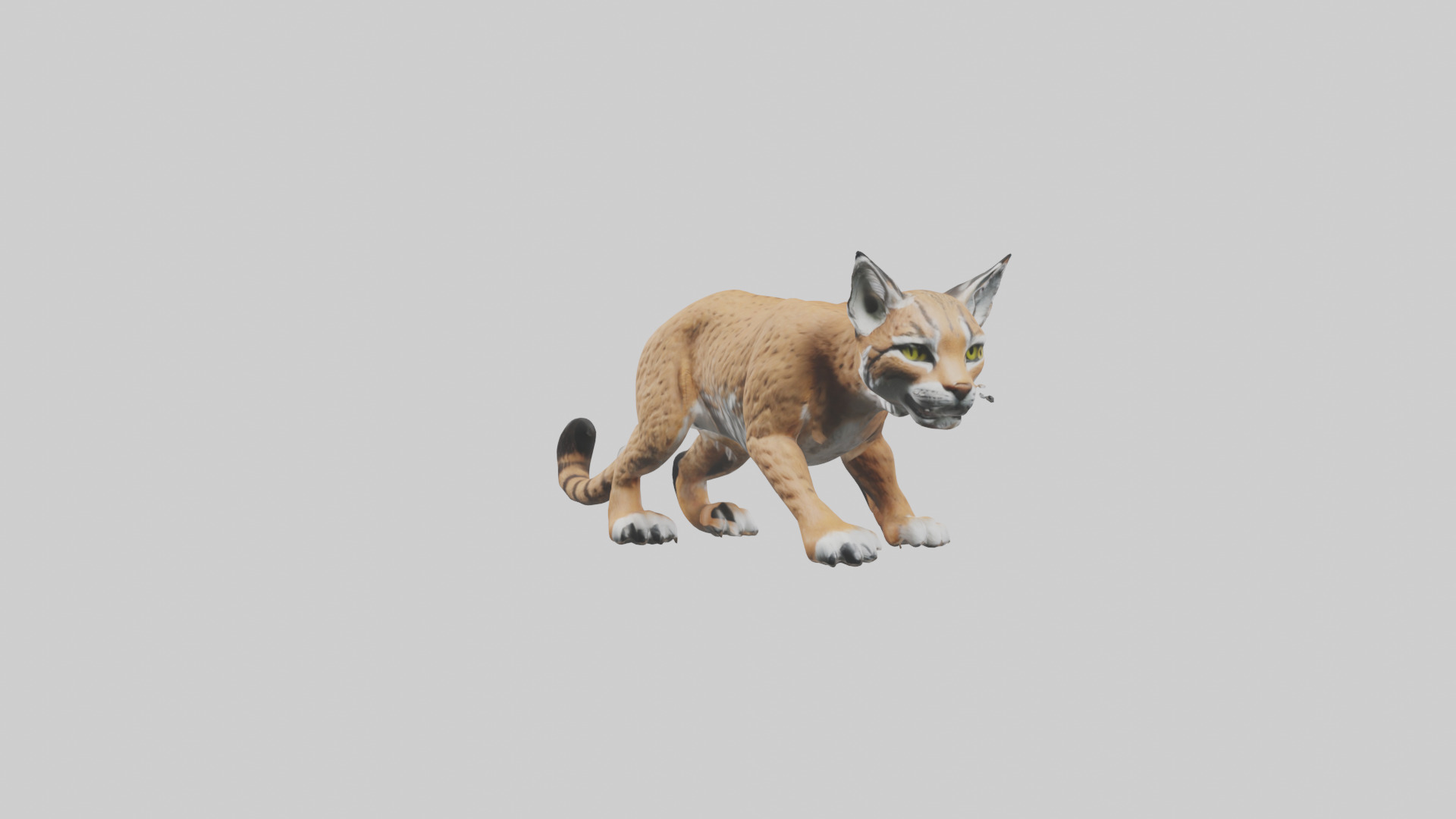Bobcat hunting model 3D model_10