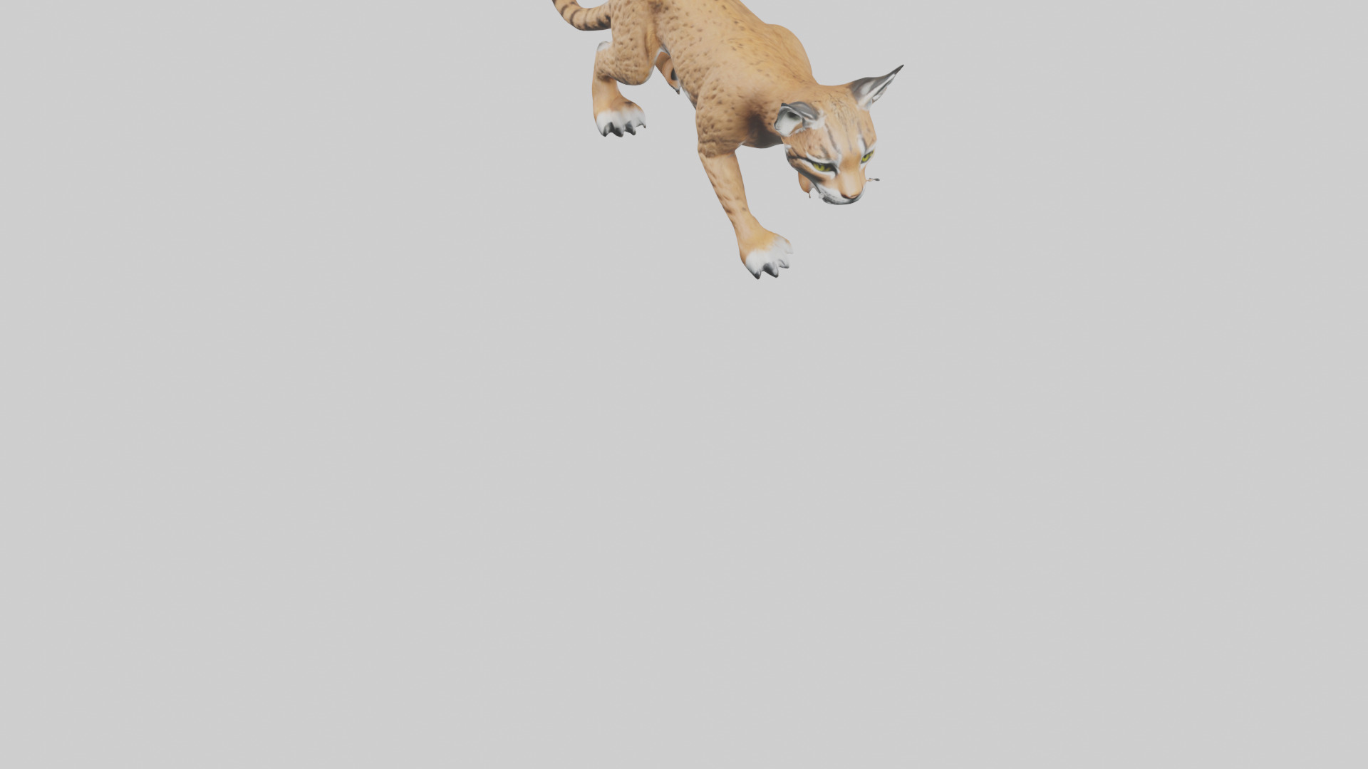 Bobcat hunting model 3D model_5