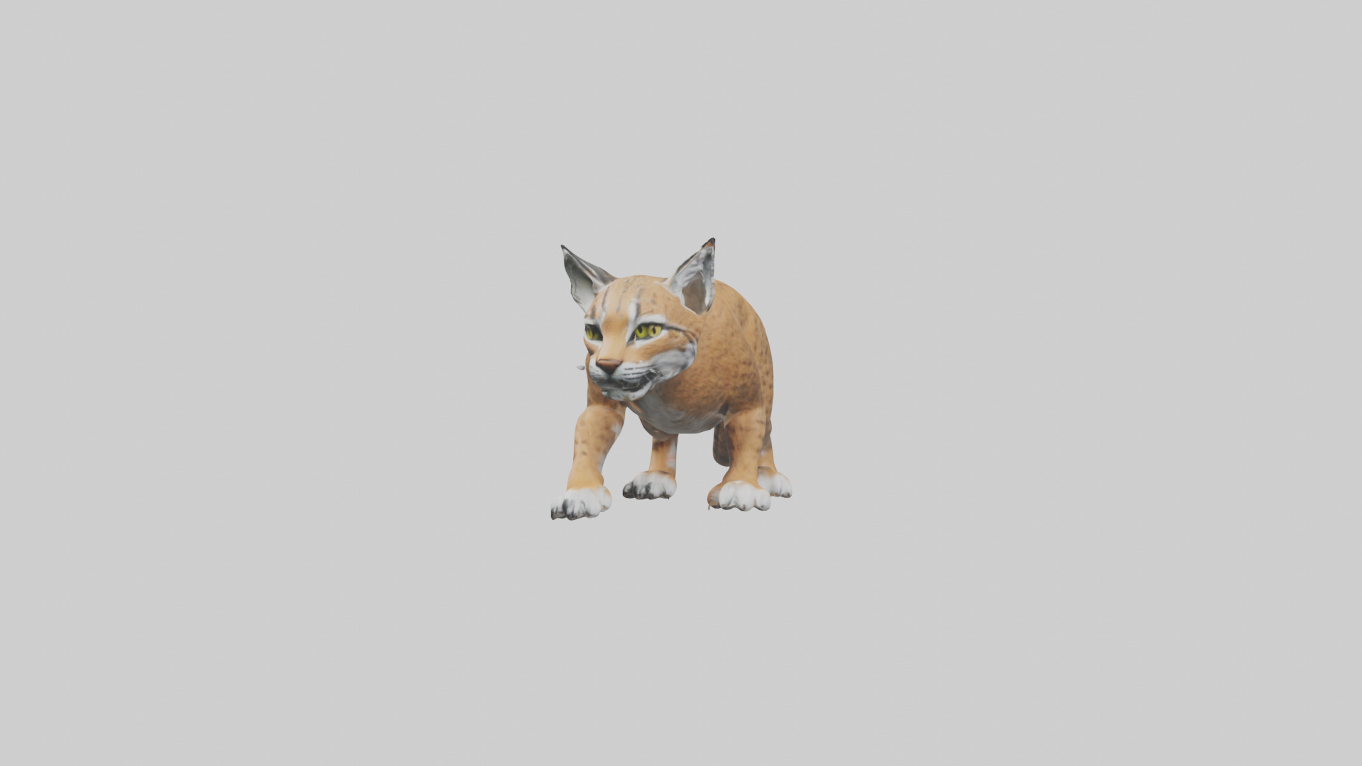Bobcat hunting model 3D model_12