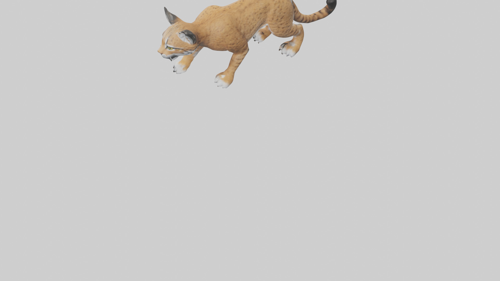 Bobcat hunting model 3D model_3