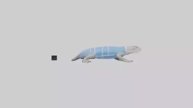 Bluetongue Skink resting model