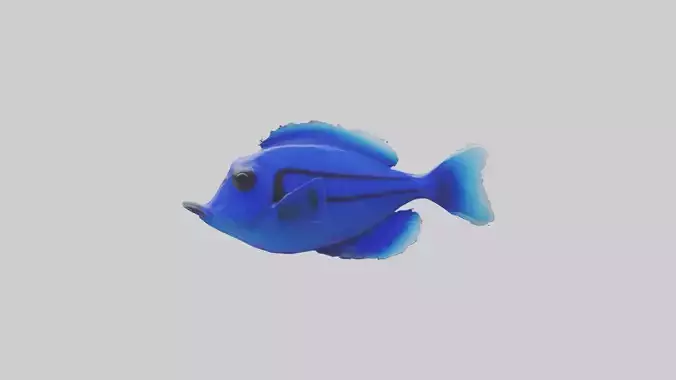 Blue Tang Fish statue model