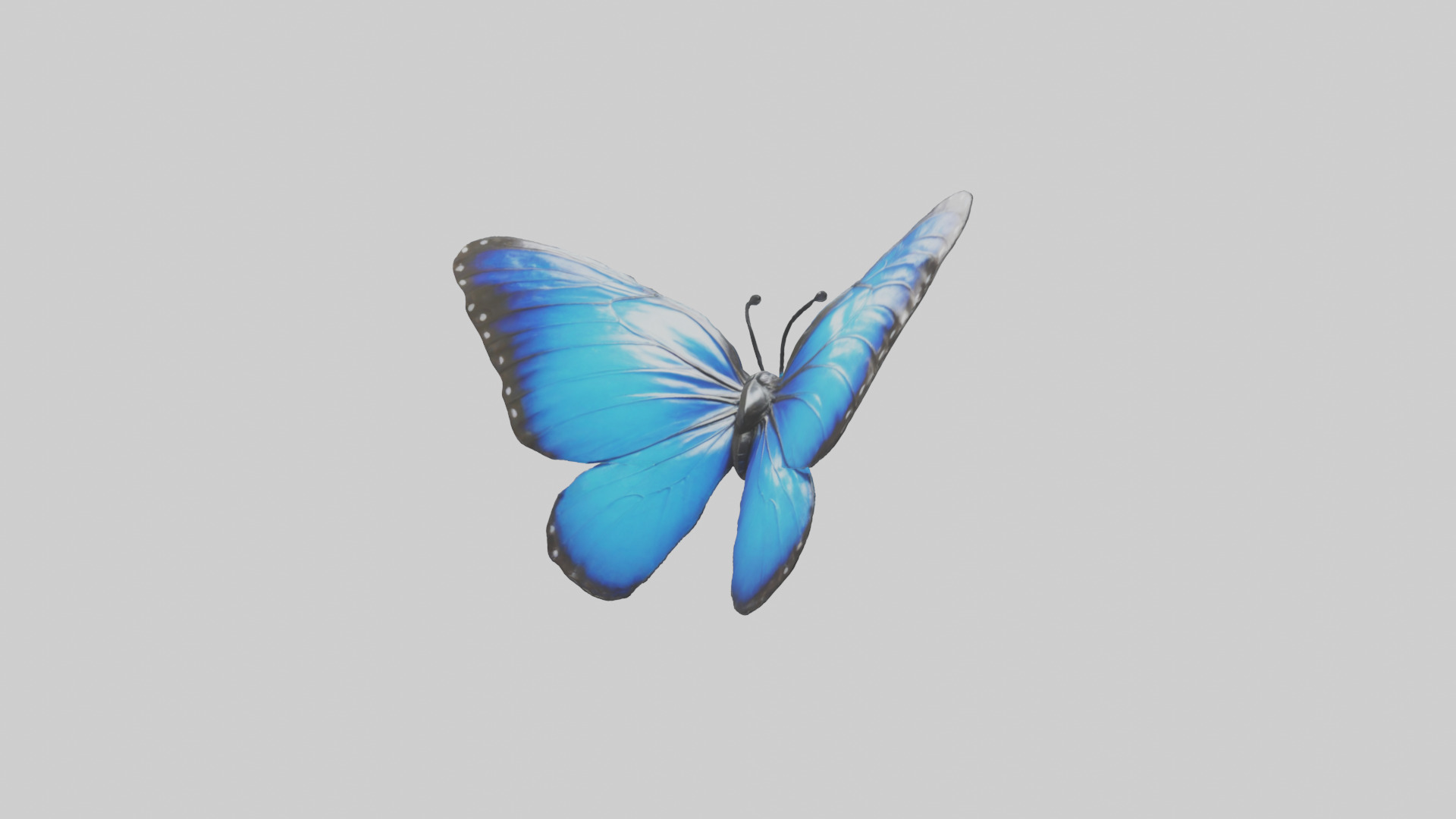 Blue Morpho Butterfly flying model Low-poly 3D model_8