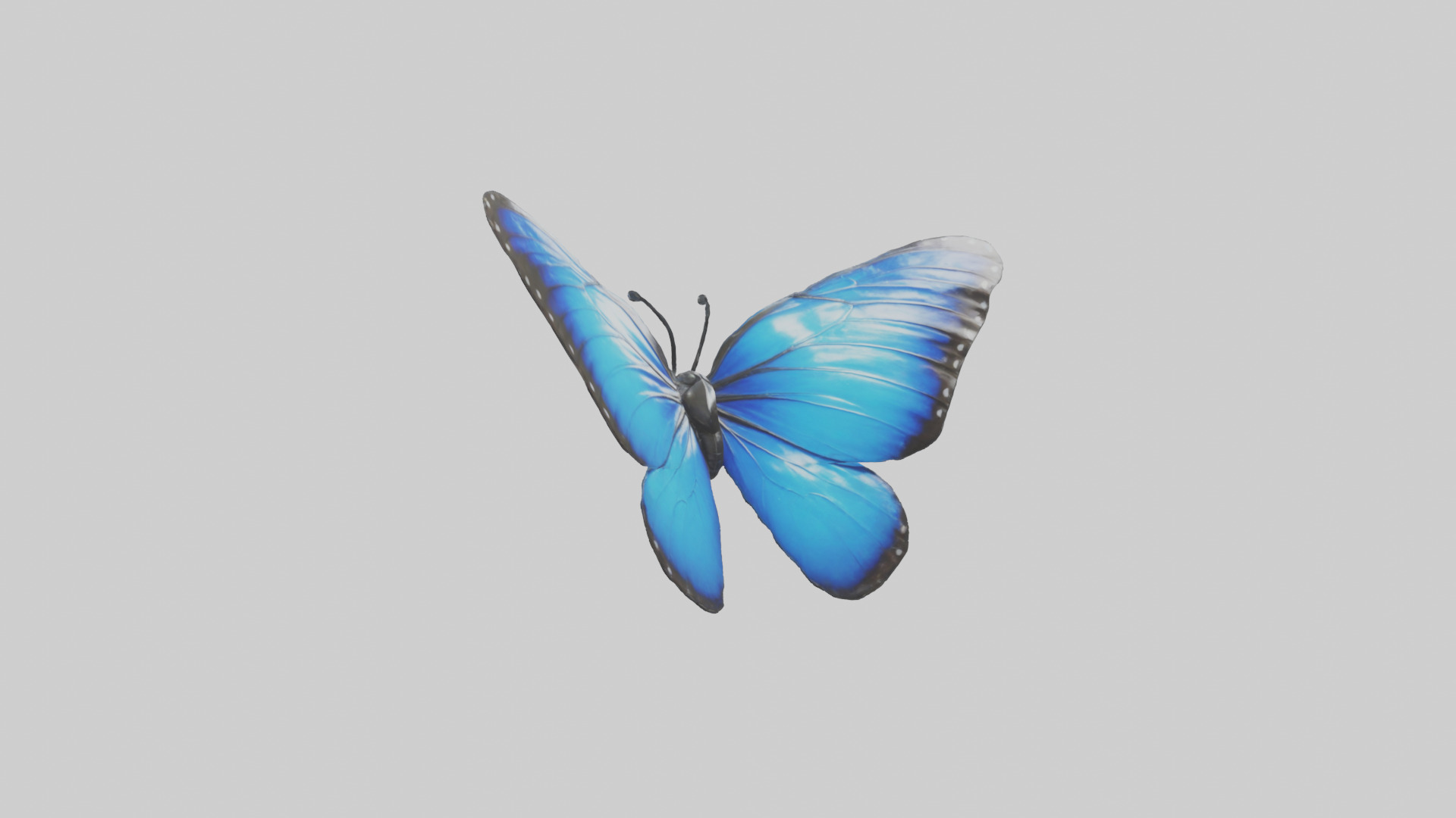 Blue Morpho Butterfly flying model Low-poly 3D model_7