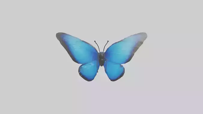 Blue Morpho Butterfly flying model