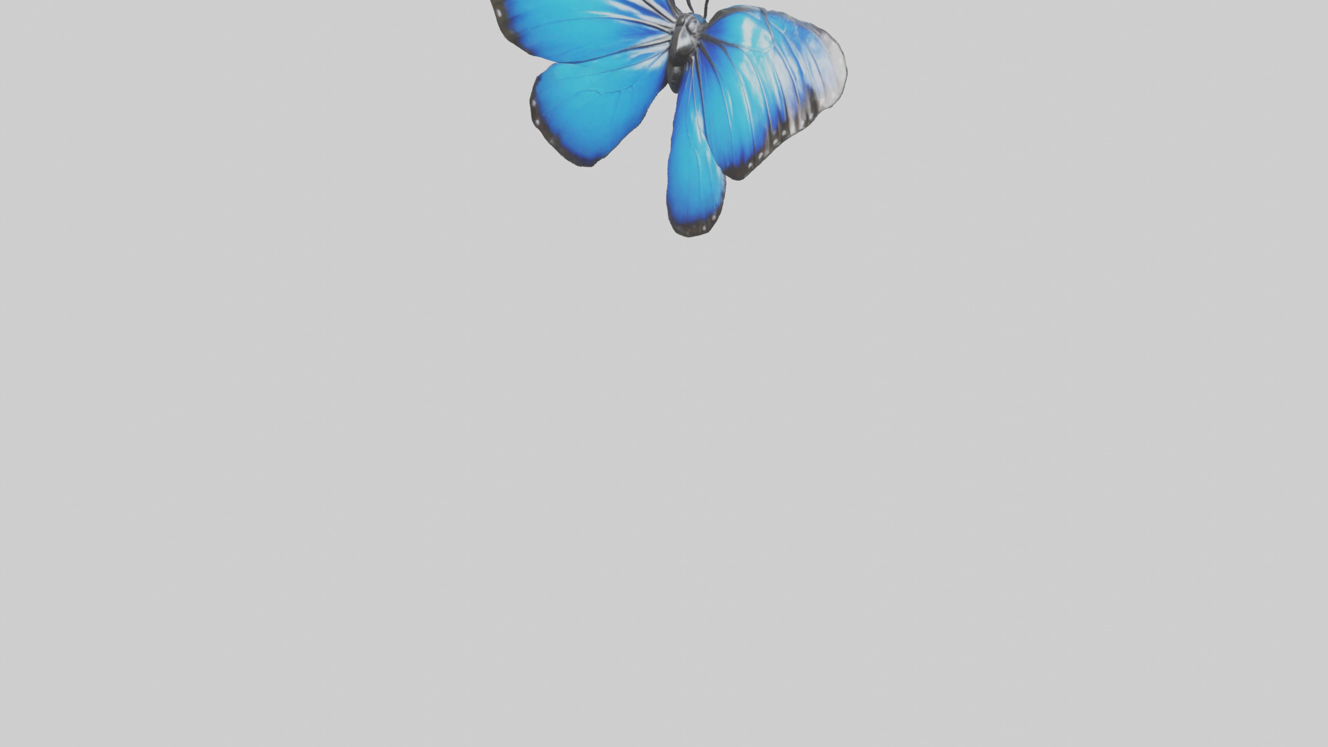Blue Morpho Butterfly flying model Low-poly 3D model_5