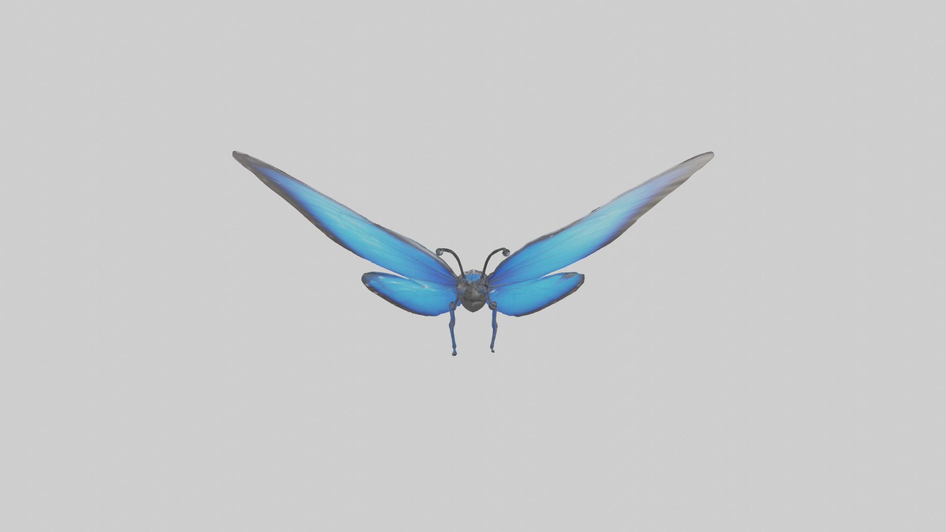 Blue Morpho Butterfly flying model Low-poly 3D model_15