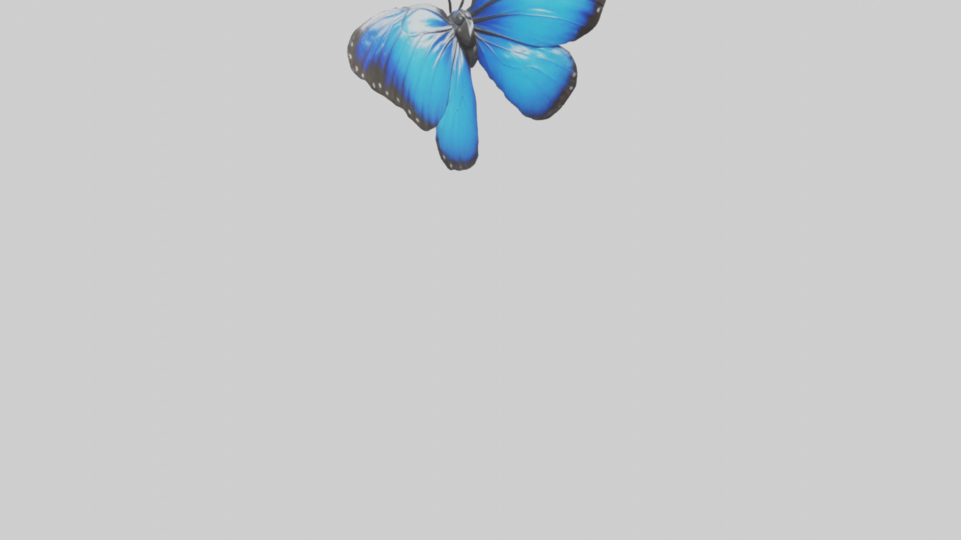 Blue Morpho Butterfly flying model Low-poly 3D model_6